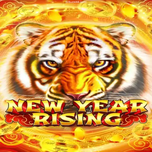 Unveiling NewYearRising: A Journey Through Time and Chance